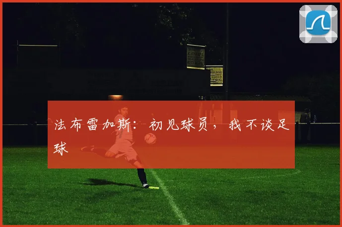 法布雷加斯:初见球员,我不谈足球